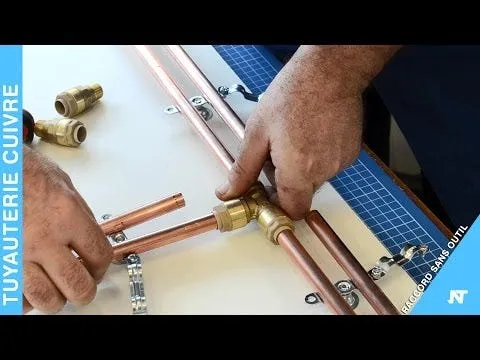 Mamelon mâle femelle égal Mâle Femelle 20x27