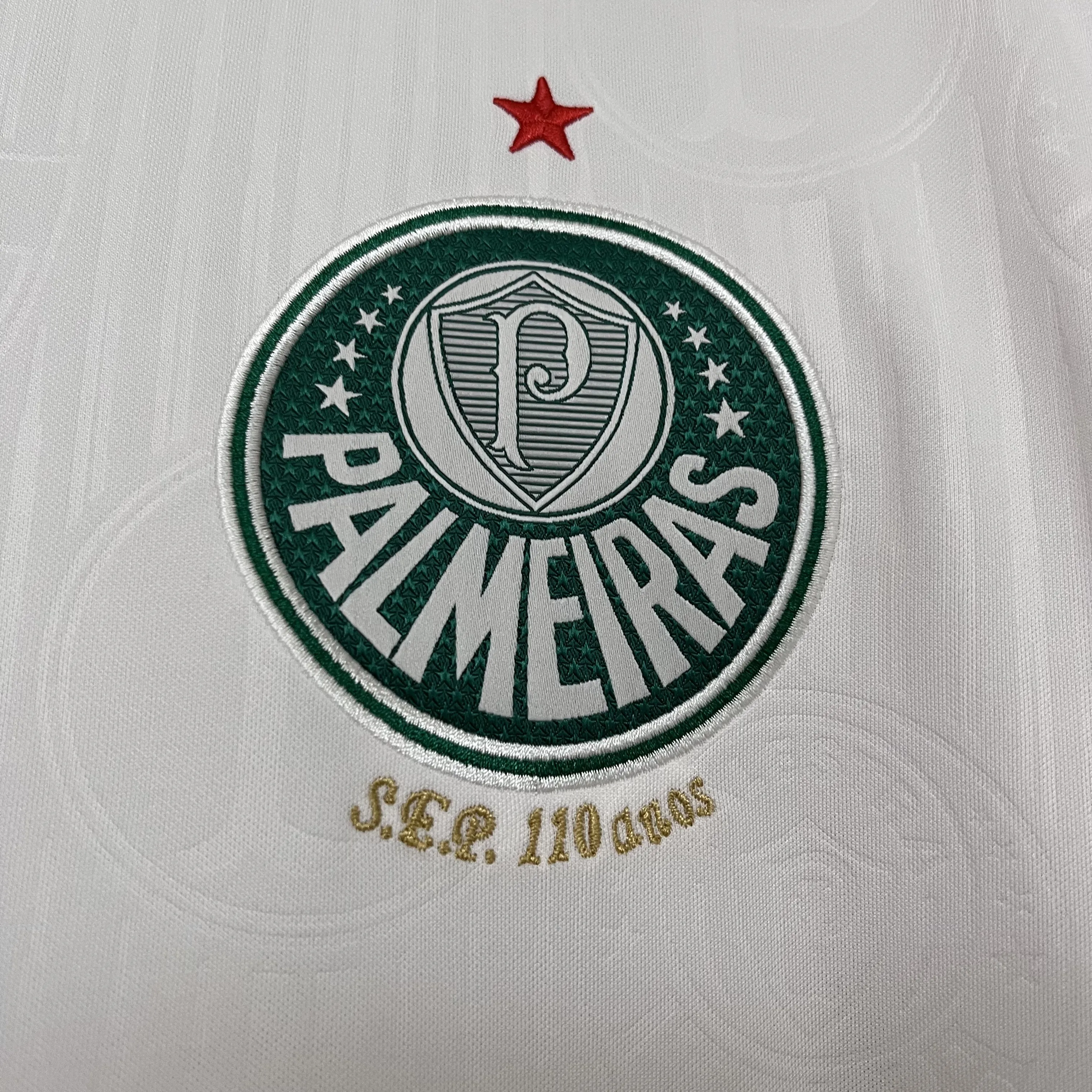 Palmeiras Equipamento Secundário 2024/25