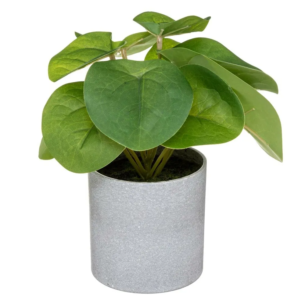 Plante verte artificielle en pot h 18 cm