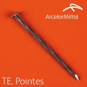 Pointe torsadée Ø5x125mm acier boite 5Kg 